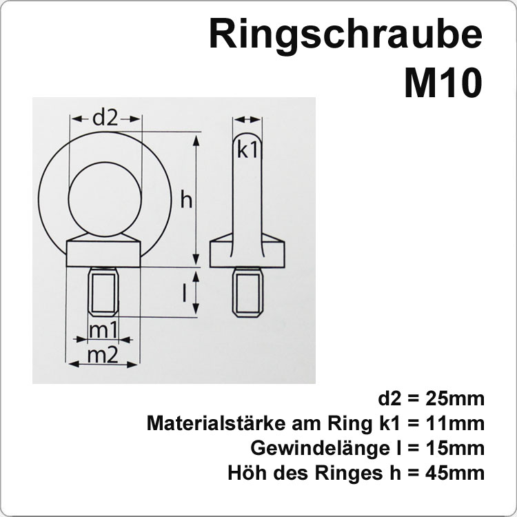 Edelstahl Ringschraube mit M10 Gewinde