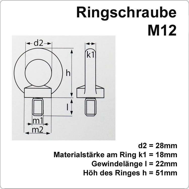 Edelstahl Ringschraube mit M12 Gewinde